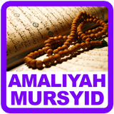 Amaliyah Mursyid icône