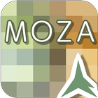 ikon SELF MOSAIC (Mosaic Camera)