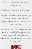 Funny and Interesting Facts 截图 1