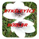 Impressive words APK