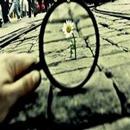 philosophical lyrics APK