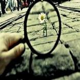 كلمات فلسفية