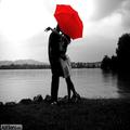 paroles d'amour