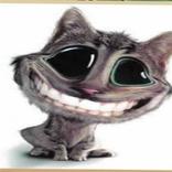 النكات الباردة