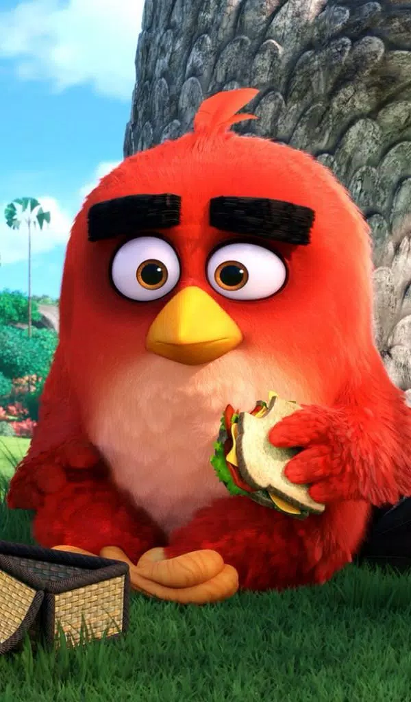 Angry Birds HD Wallpaper APK for Android Download