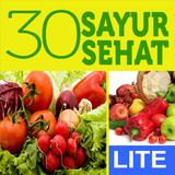 30 Resep Sayur Sehat Lite icône