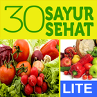 30 Resep Sayur Sehat Lite ícone