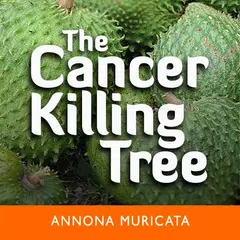 Скачать The Cancer Killing Tree APK