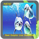 Meilleur Dolphin Live Wallpaper APK
