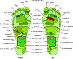 Techniques de réflexologie du pied capture d'écran 2