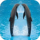 Dolphins Wallpapers APK