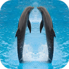 Dolphin wallpaper آئیکن