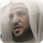 ماهر المعيقلي icon