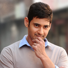 Mahesh Wallpapers simgesi