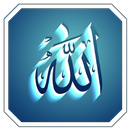 Full Quran Reading &  Asmaul Husna Offline Audio APK