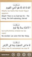 Surah Yasin,Ar-Rahman,Ayatul Kursi (Offline Audio) ảnh chụp màn hình 3