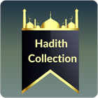 All Hadith Collection icône