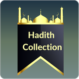 All Hadith Collection أيقونة