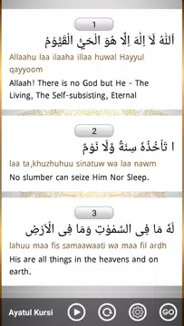 Screenshot 5 for Surah Yasin,Ar-Rahman,Ayatul Kursi (Offline Audio)