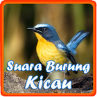 Suara Burung Kicau Zeichen