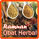 Ramuan Obat Herbal APK