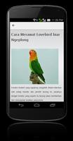 Ternak Lovebird Screenshot 2
