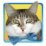 Quiz - Enigmi del Dr Magnus