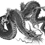 Dragon Battery Cut-in