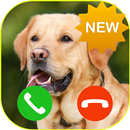 Dog Call You - Aplicación de llamadas de broma APK