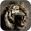 Fondos de Pantalla de Tigre APK