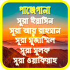 পাঞ্জেগানা - পাঞ্জেসূরা أيقونة