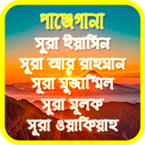 পাঞ্জেগানা - পাঞ্জেসূরা أيقونة