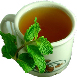 الشاي الاخضر