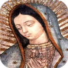 Our Lady of Guadalupe icon