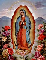 Virgen de Guadalupe पोस्टर