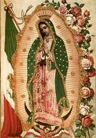 Virgen de Guadalupe स्क्रीनशॉट 3