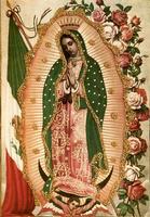 برنامه‌نما Our Lady of Guadalupe عکس از صفحه