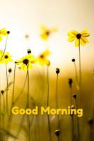 Good Moorning Quotes poster