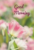 2 Schermata Good Moorning Quotes