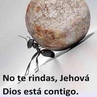 Imágenes de Jehová screenshot 2