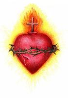 Sagrado Corazón de Jesús ภาพหน้าจอ 3