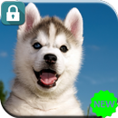 Polar Husky Cub 2017 Lock Screen APK