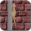 Baby Lizard APK