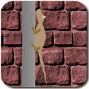 Baby Lizard APK