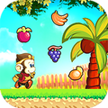 Fruit Collector