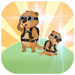 Gopher Desert Runner