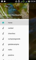 پوستر Canto Azulao Para Encartar