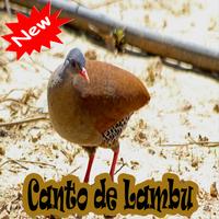 CANTOS DE LAMBU BRASILIO โปสเตอร์