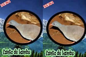 CANTOS DE LAMBU BRASILIO スクリーンショット 3