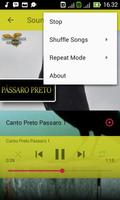 Passaros Preto Canto Mateiro Ekran Görüntüsü 1
